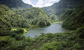 Interior Tahiti