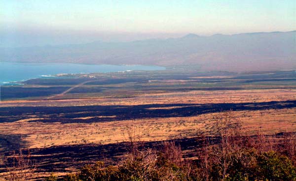 Lava fields