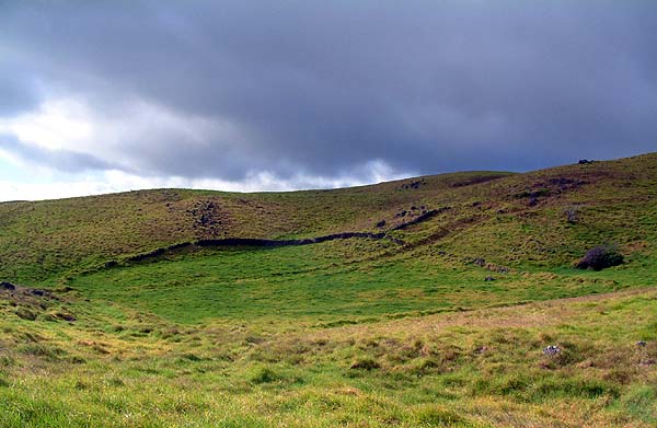 Upland field