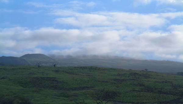 Upland clouds