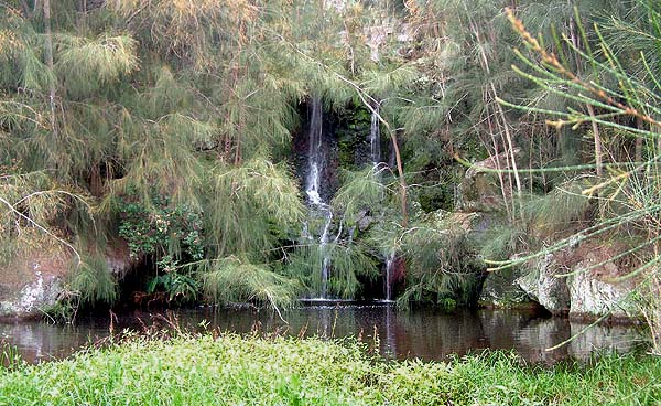 Waipahoehoe pool