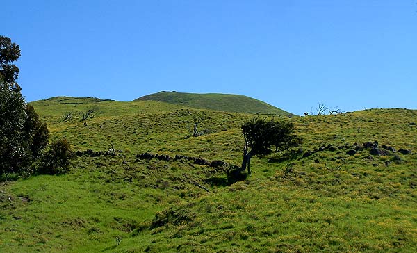 Upland fields