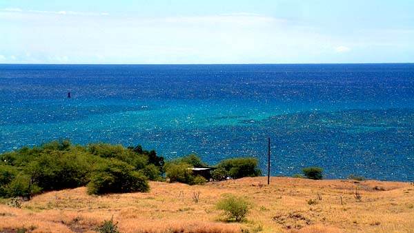 Reef from above