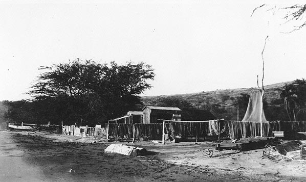 Nets drying