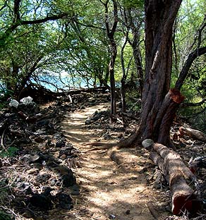 Coastal trail