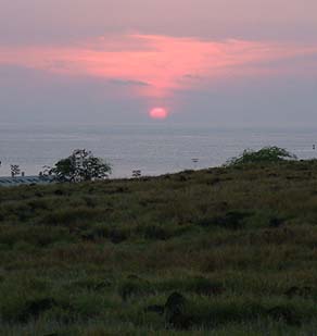 Grasslands