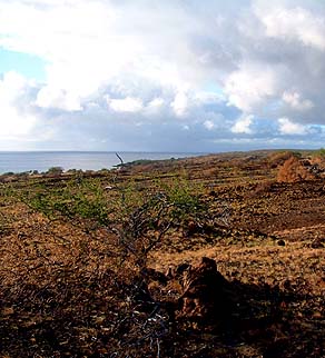 Mahukona Coast