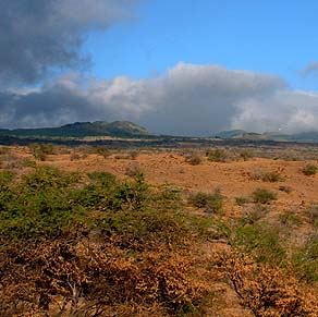 Mahukona Uplands