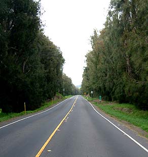 Mountain Road