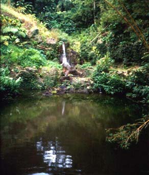 Green Pool