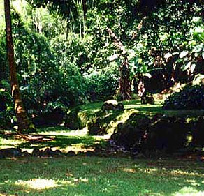 Terracing