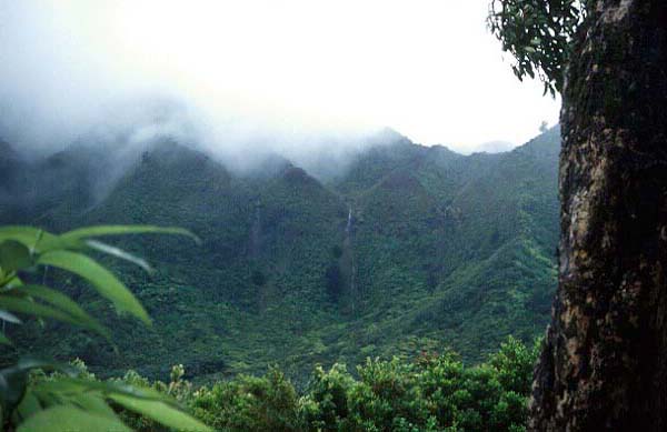 Waipuilani Falls