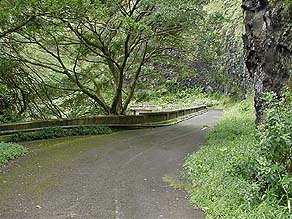 Old Pali Highway