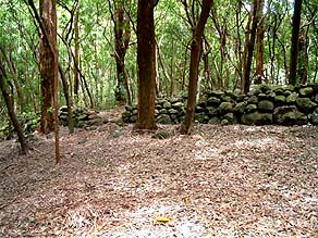 Kaniakapupu Heiau