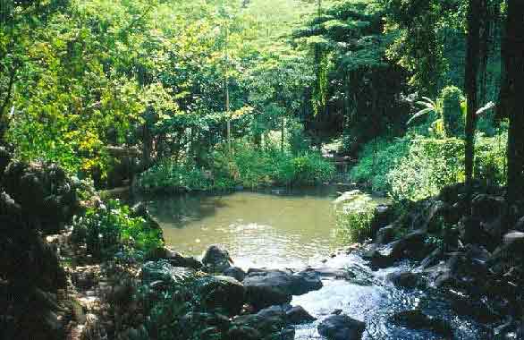 Kapena Falls