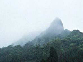 Mist on Lanihuli