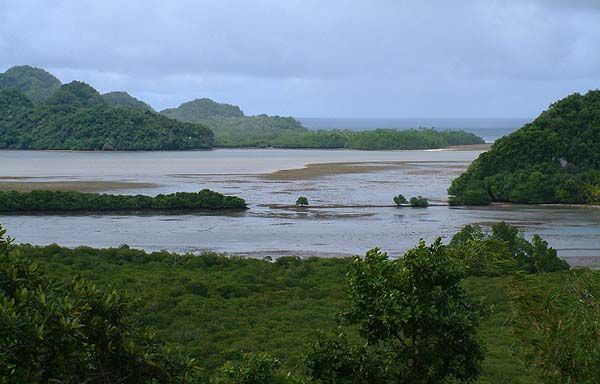 Dividing causeway