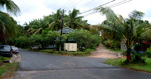 Fork in the Road