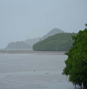 Rain at the waterfront