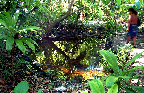 Women's Bath