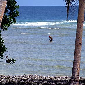 Reef Fishing