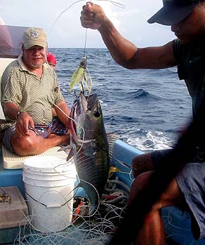 Yellowfin