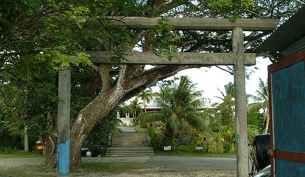 Torii gate